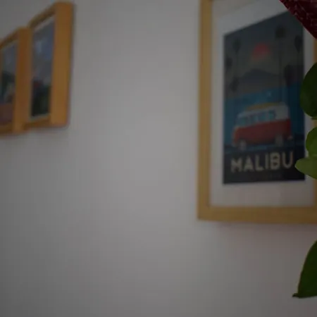 Mi Casa Es Tu Casa Διαμέρισμα